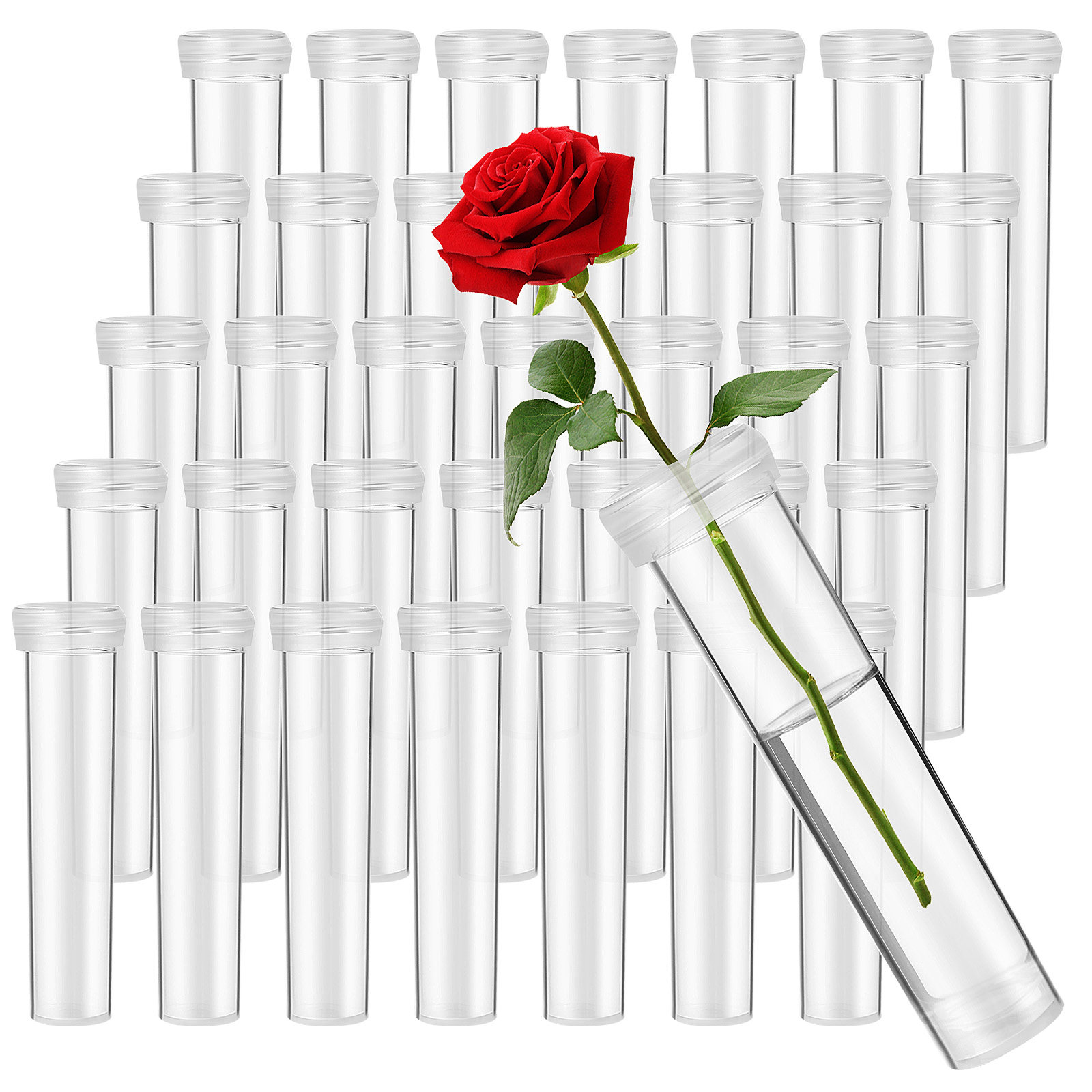 100개 꽃 물 공급 튜브 신선한 영양 공급 튜브 범용 - Supply For Florist 리뷰 및 가격
