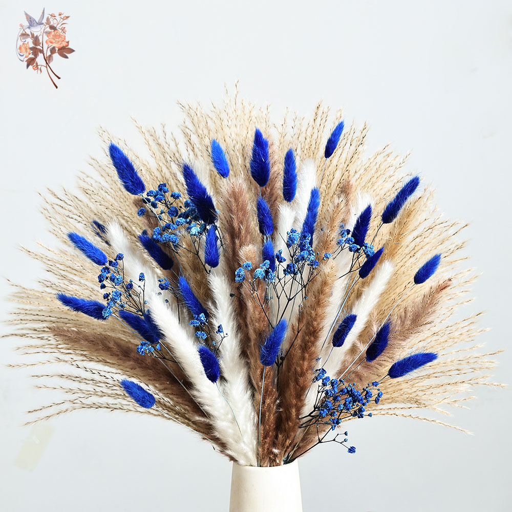 70 줄기 블루 푹신한 토끼 꼬리 팜파스 잔디 묶음 말 - Supply For Florist 리뷰 및 가격
